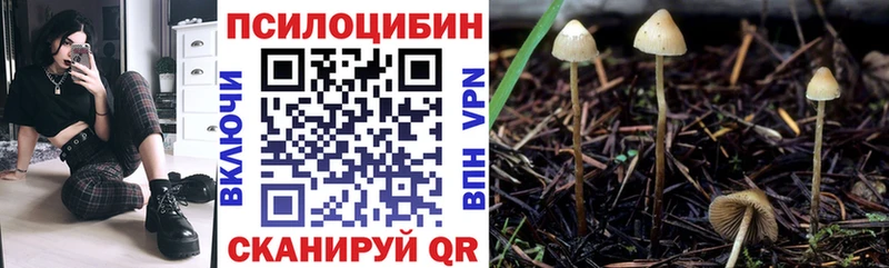 Галлюциногенные грибы ЛСД  Ардатов 